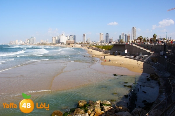 mina2 yaffaj343 (22).JPG